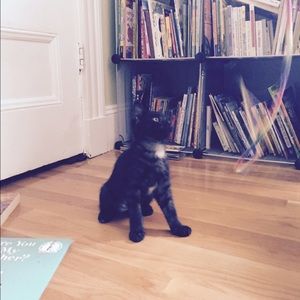 Meet your Posher, Lisa