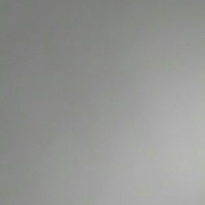 Meet your Posher, Greta