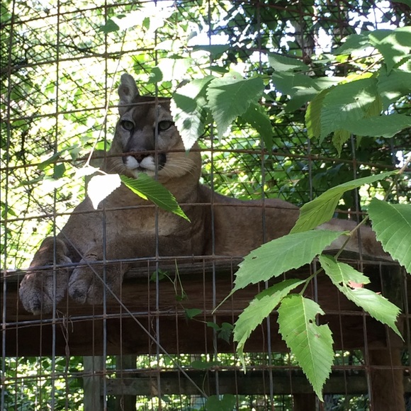 Meet your Posher, Rebecca - Picture 1 of 1