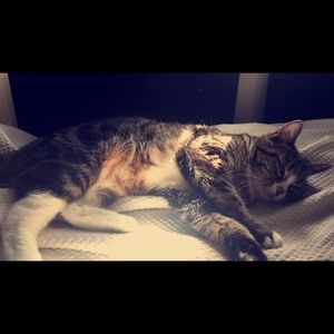 Meet your Posher, Kayla