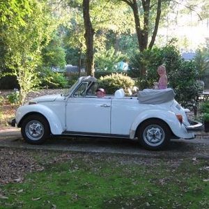 Meet your Posher, Ellis