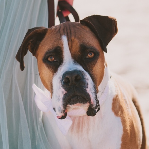 Meet your Posher, Kerry - Picture 1 of 1