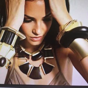 Meet your Posher, Devonia