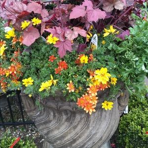 Meet your Posher, Annabeth