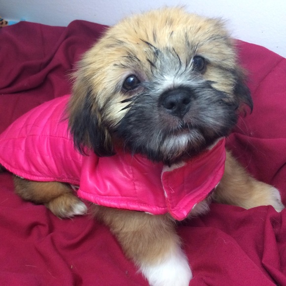 Meet your Posher, Briana - Picture 1 of 1