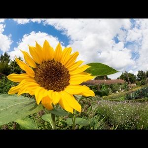 Meet your Posher, Cheryl