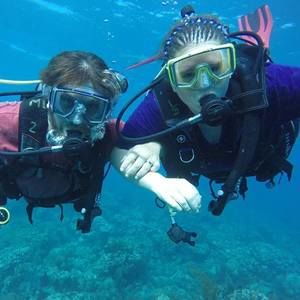 Meet your Posher, Roberta