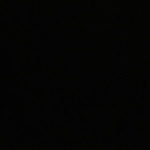 Meet your Posher, Eva