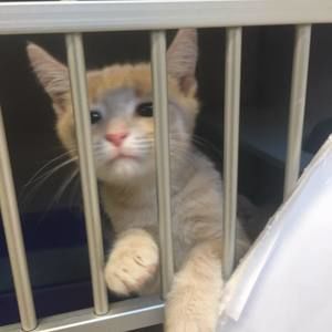 Meet your Posher, Alana