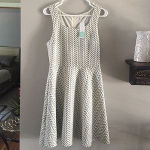 NWT! Textured knit Dress. 🌸👗🌸41Hawthorn.