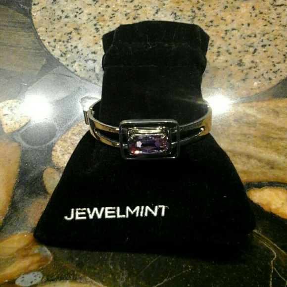 JewelMint Bracelet with Pouch