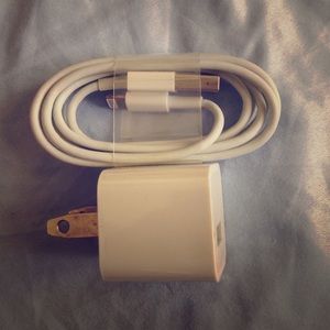 iPhone 5/6 charger
