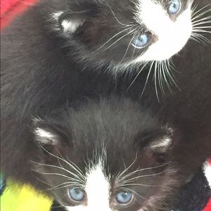 Meet your Posher, Alese