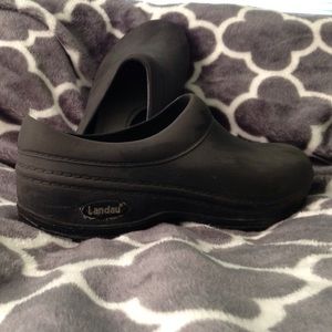 Landau clogs