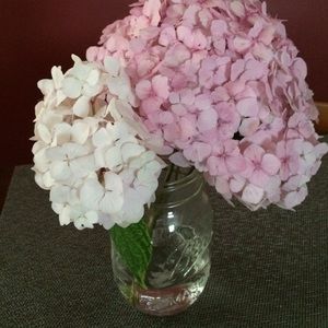 Meet your Posher, Pam