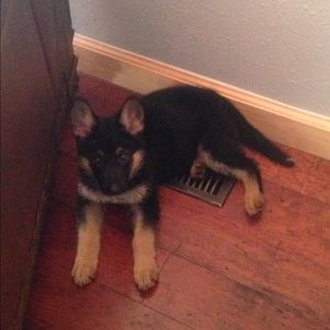 Meet your Posher, Jami