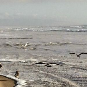 Meet your Posher, Asma