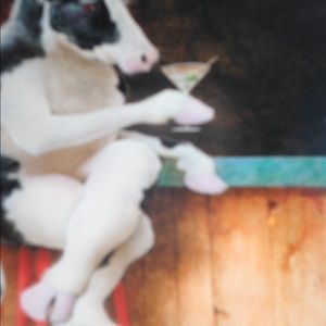 Meet your Posher, Cindy