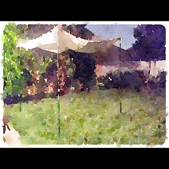 Meet your Posher, Selina