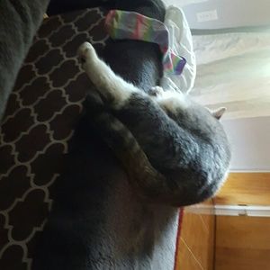 Meet your Posher, Nicole