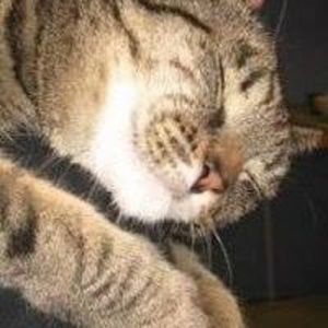 Meet your Posher, Les