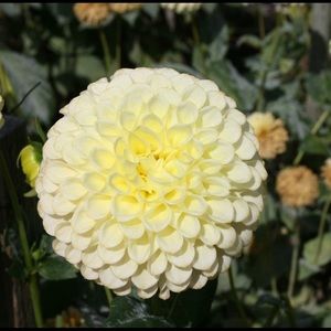 Meet your Posher, April