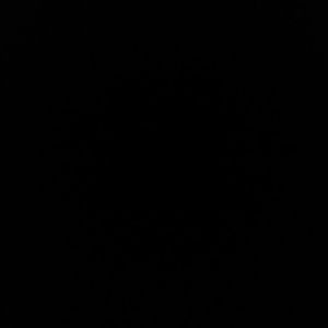 Meet your Posher, Mia