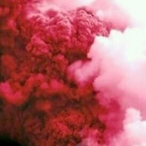 Meet your Posher, Blake