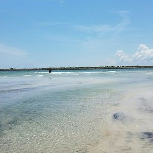 Meet your Posher, Daisy