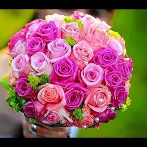 Meet your Posher, Mandy