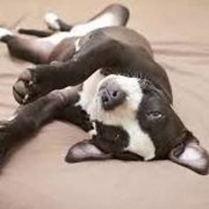 Meet your Posher, Avery