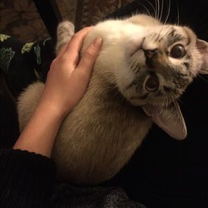 Meet your Posher, Cassandra