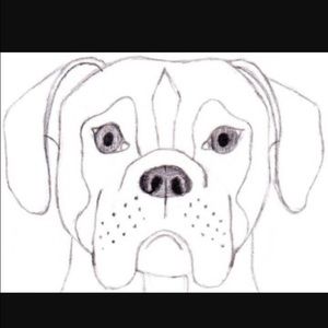 Meet your Posher, Gustavo