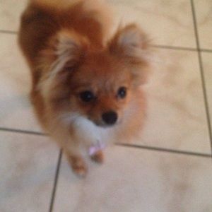 Meet your Posher, Edith