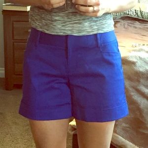Express Cobalt Blue Shorts