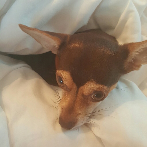 Meet your Posher, Kelley