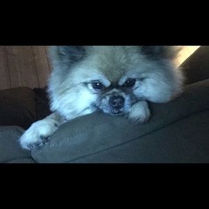 Meet your Posher, Sheley