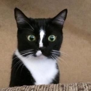 Meet your Posher, Renee