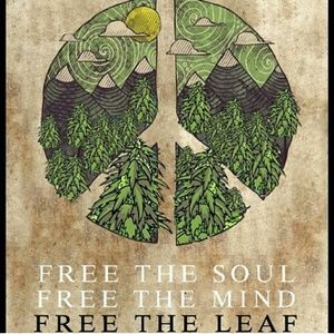 Meet your Posher, Ray