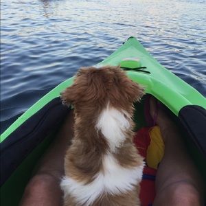 Meet your Posher, Carla