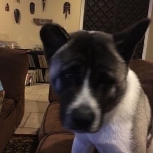 Meet your Posher, Karen