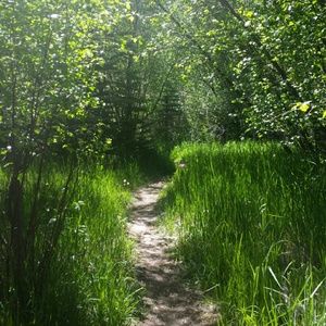 Meet your Posher, Cheril