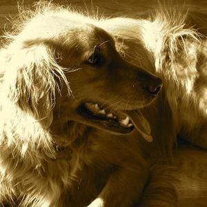 Meet your Posher, Paula