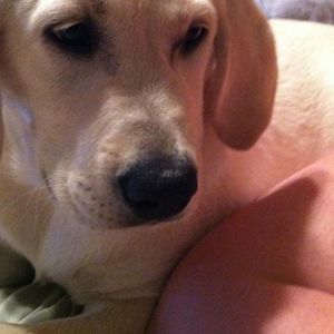 Meet your Posher, Karen