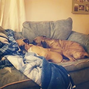 Meet your Posher, Lucy