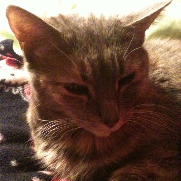 Meet your Posher, Thea