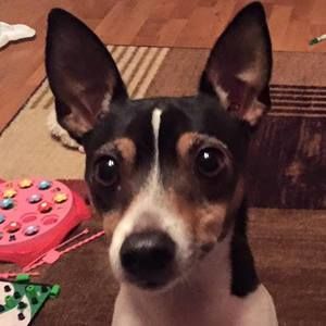 Meet your Posher, Lindsey