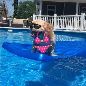 Meet your Posher, Natalie