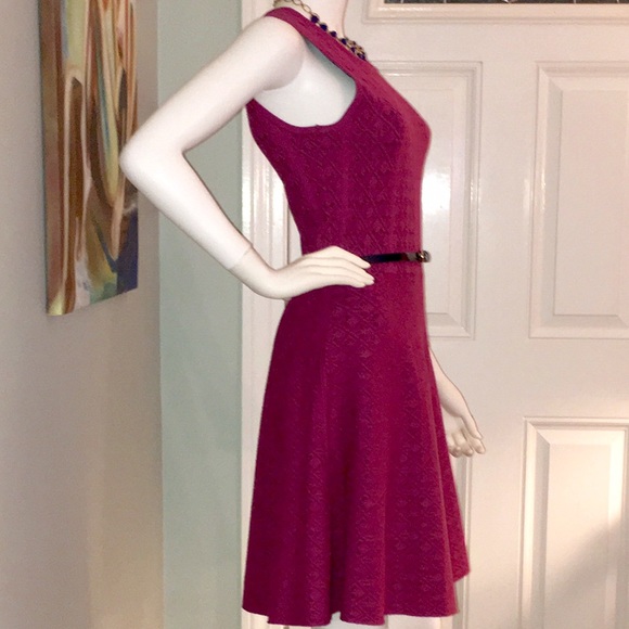 Ali Ro Cerise Lace Sleeveless Fit & Flare dress - Picture 4 of 4