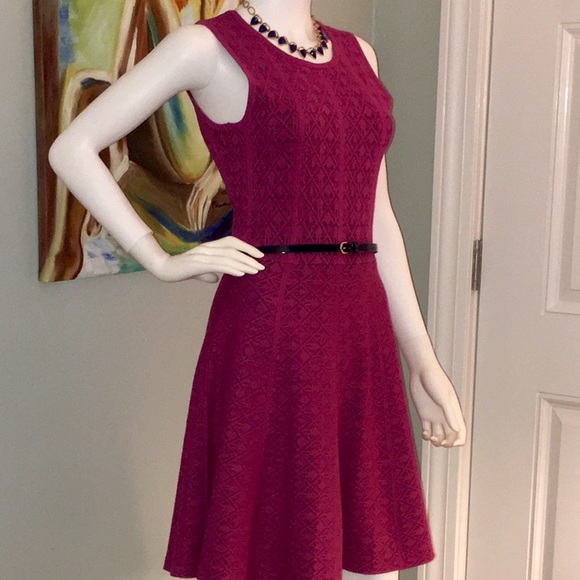 Ali Ro Cerise Lace Sleeveless Fit & Flare dress - Picture 3 of 4